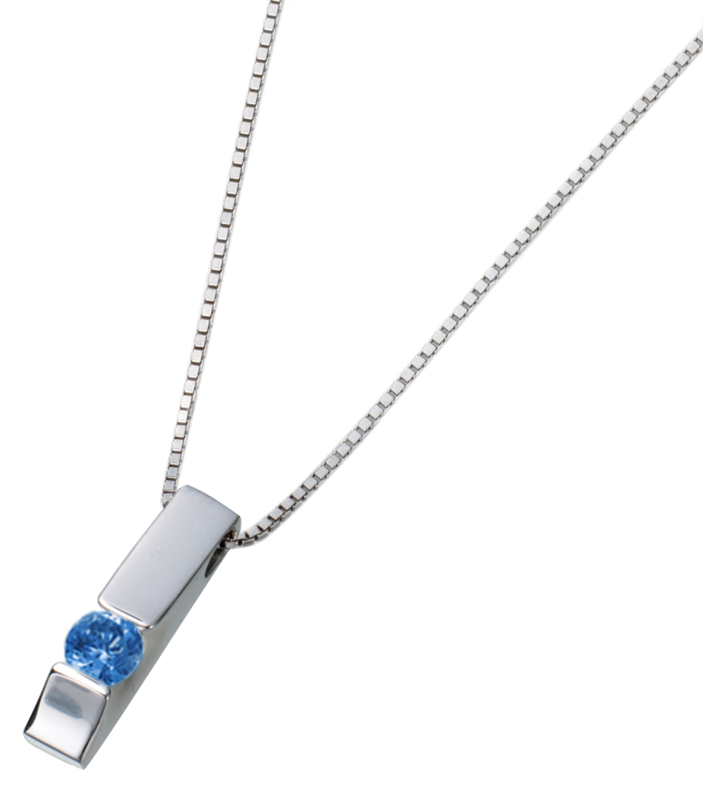 SpP013